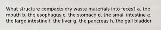 What structure compacts dry waste materials into feces? a. the mouth b. the esophagus c. the stomach d. the small intestine e. the large intestine f. the liver g. the pancreas h. the gall bladder