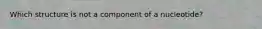 Which structure is not a component of a nucleotide?