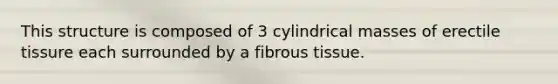 This structure is composed of 3 cylindrical masses of erectile tissure each surrounded by a fibrous tissue.