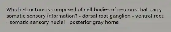 Which structure is composed of cell bodies of neurons that carry somatic sensory information? - dorsal root ganglion - ventral root - somatic sensory nuclei - posterior gray horns