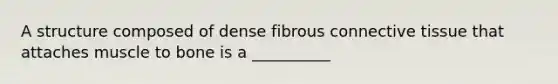 A structure composed of dense fibrous connective tissue that attaches muscle to bone is a __________