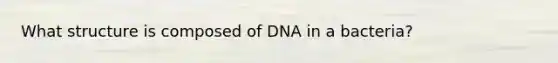 What structure is composed of DNA in a bacteria?