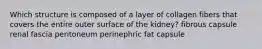 Which structure is composed of a layer of collagen fibers that covers the entire outer surface of the kidney? fibrous capsule renal fascia peritoneum perinephric fat capsule