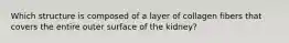 Which structure is composed of a layer of collagen fibers that covers the entire outer surface of the kidney?