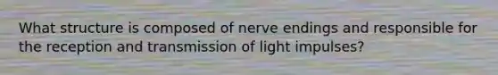 What structure is composed of nerve endings and responsible for the reception and transmission of light impulses?