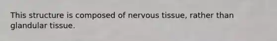 This structure is composed of nervous tissue, rather than glandular tissue.