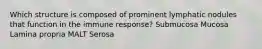 Which structure is composed of prominent lymphatic nodules that function in the immune response? Submucosa Mucosa Lamina propria MALT Serosa