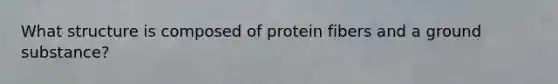 What structure is composed of protein fibers and a ground substance?