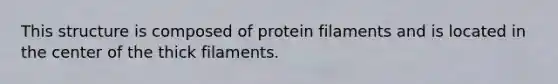 This structure is composed of protein filaments and is located in the center of the thick filaments.