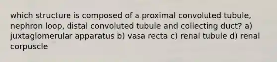 which structure is composed of a proximal convoluted tubule, nephron loop, distal convoluted tubule and collecting duct? a) juxtaglomerular apparatus b) vasa recta c) renal tubule d) renal corpuscle