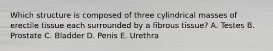 Which structure is composed of three cylindrical masses of erectile tissue each surrounded by a fibrous tissue? A. Testes B. Prostate C. Bladder D. Penis E. Urethra