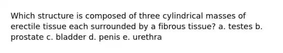 Which structure is composed of three cylindrical masses of erectile tissue each surrounded by a fibrous tissue? a. testes b. prostate c. bladder d. penis e. urethra