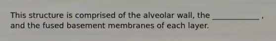 This structure is comprised of the alveolar wall, the ____________ , and the fused basement membranes of each layer.