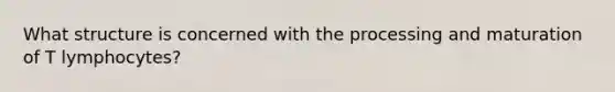 What structure is concerned with the processing and maturation of T lymphocytes?