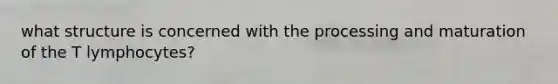 what structure is concerned with the processing and maturation of the T lymphocytes?