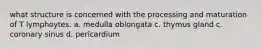 what structure is concerned with the processing and maturation of T lymphoytes. a. medulla oblongata c. thymus gland c. coronary sinus d. pericardium