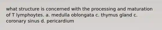 what structure is concerned with the processing and maturation of T lymphoytes. a. medulla oblongata c. thymus gland c. coronary sinus d. pericardium