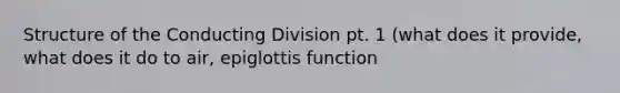 Structure of the Conducting Division pt. 1 (what does it provide, what does it do to air, epiglottis function