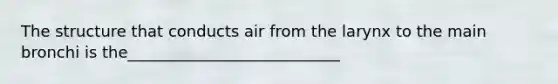 The structure that conducts air from the larynx to the main bronchi is the___________________________