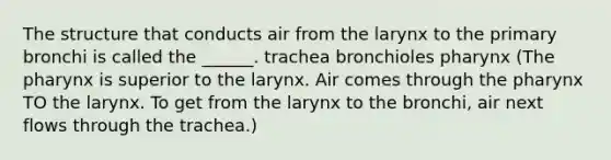 The structure that conducts air from the larynx to the primary bronchi is called the ______. trachea bronchioles pharynx (The pharynx is superior to the larynx. Air comes through the pharynx TO the larynx. To get from the larynx to the bronchi, air next flows through the trachea.)