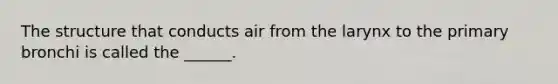 The structure that conducts air from the larynx to the primary bronchi is called the ______.