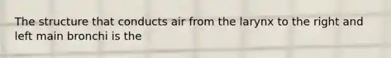 The structure that conducts air from the larynx to the right and left main bronchi is the