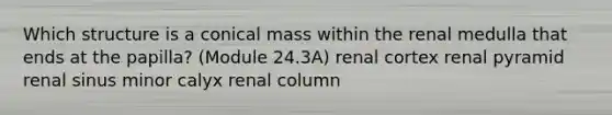 Which structure is a conical mass within the renal medulla that ends at the papilla? (Module 24.3A) renal cortex renal pyramid renal sinus minor calyx renal column