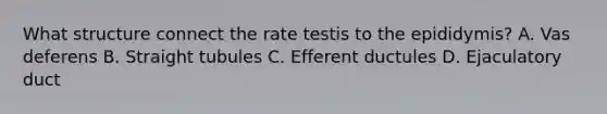 What structure connect the rate testis to the epididymis? A. Vas deferens B. Straight tubules C. Efferent ductules D. Ejaculatory duct