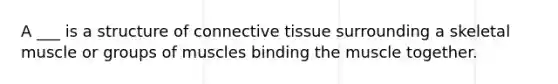 A ___ is a structure of connective tissue surrounding a skeletal muscle or groups of muscles binding the muscle together.