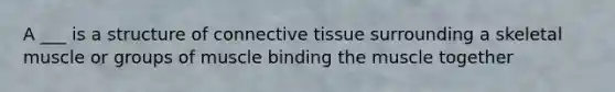 A ___ is a structure of connective tissue surrounding a skeletal muscle or groups of muscle binding the muscle together