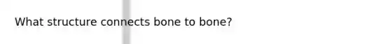 What structure connects bone to bone?