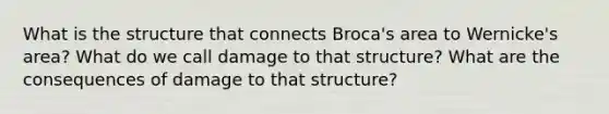 What is the structure that connects Broca's area to Wernicke's area? What do we call damage to that structure? What are the consequences of damage to that structure?