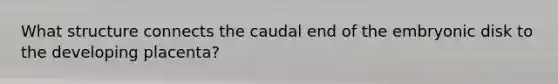 What structure connects the caudal end of the embryonic disk to the developing placenta?