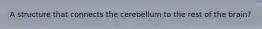 A structure that connects the cerebellum to the rest of the brain?