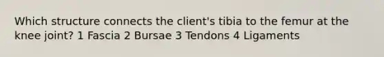 Which structure connects the client's tibia to the femur at the knee joint? 1 Fascia 2 Bursae 3 Tendons 4 Ligaments