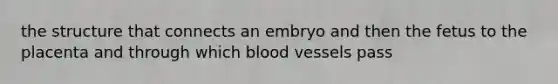 the structure that connects an embryo and then the fetus to the placenta and through which blood vessels pass