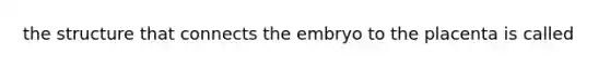 the structure that connects the embryo to the placenta is called