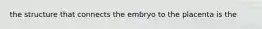 the structure that connects the embryo to the placenta is the