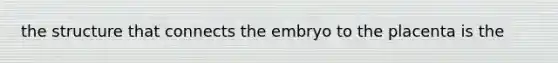 the structure that connects the embryo to the placenta is the