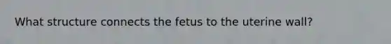 What structure connects the fetus to the uterine​ wall?