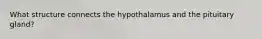 What structure connects the hypothalamus and the pituitary gland?