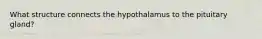 What structure connects the hypothalamus to the pituitary gland?