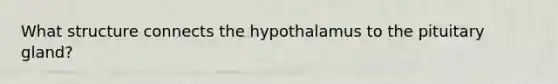 What structure connects the hypothalamus to the pituitary gland?