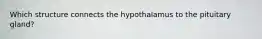 Which structure connects the hypothalamus to the pituitary gland?