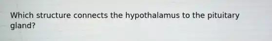 Which structure connects the hypothalamus to the pituitary gland?