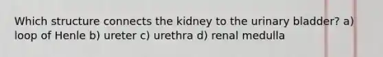 Which structure connects the kidney to the urinary bladder? a) loop of Henle b) ureter c) urethra d) renal medulla