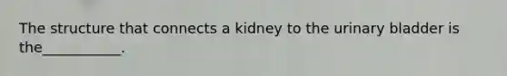 The structure that connects a kidney to the urinary bladder is the___________.