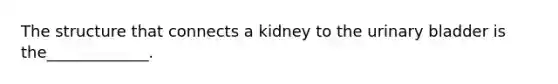 The structure that connects a kidney to the urinary bladder is the_____________.