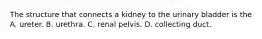 The structure that connects a kidney to the urinary bladder is the A. ureter. B. urethra. C. renal pelvis. D. collecting duct.