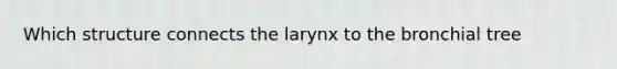 Which structure connects the larynx to the bronchial tree